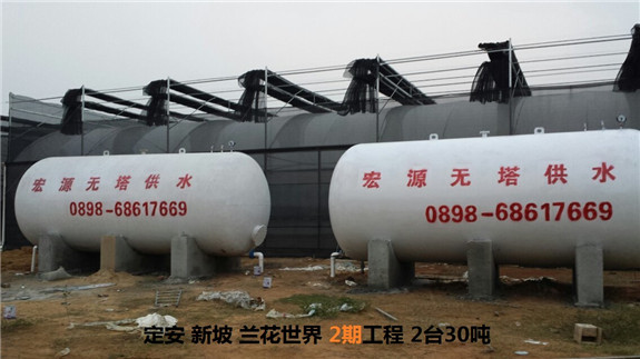 定安新坡蘭花世界2期工程2臺(tái)30噸1