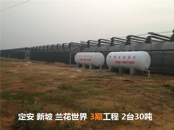 定安新坡蘭花世界3期工程2臺(tái)30噸
