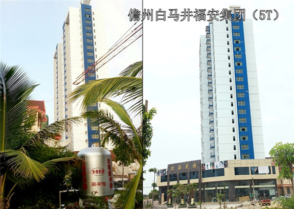 儋州白馬井福安集團（5T）