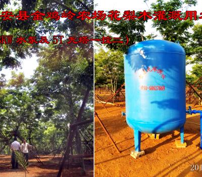 定安縣金雞嶺農場5T